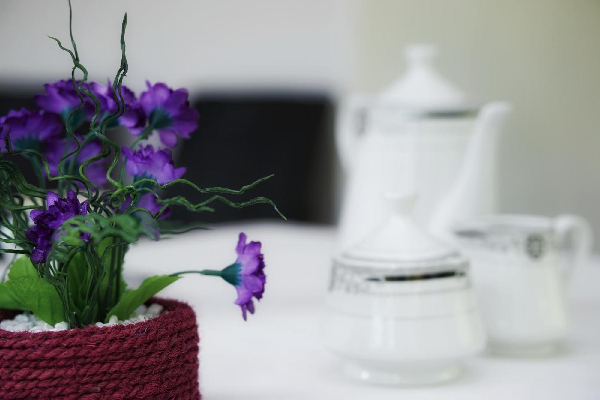 Sashini Homestay 시기리야 외부 사진
